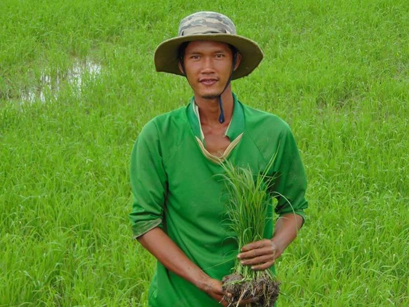 vo tieng 2.jpg