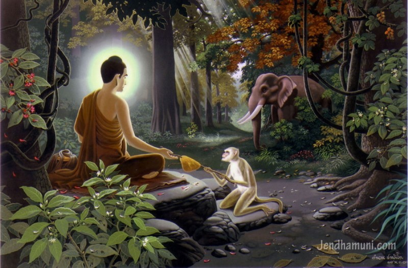 Phật giáo và quyền của động vật ảnh 1 nsgn3.jpg