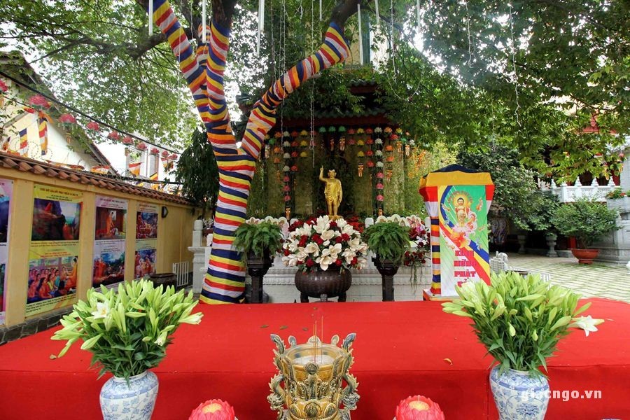 KHONG KHI pd (23).JPG