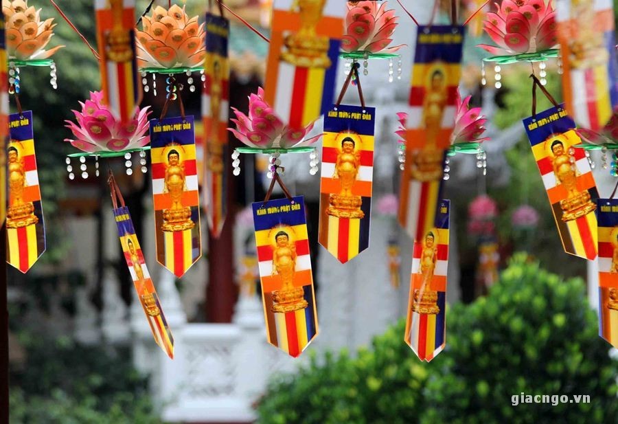 KHONG KHI pd (25).JPG