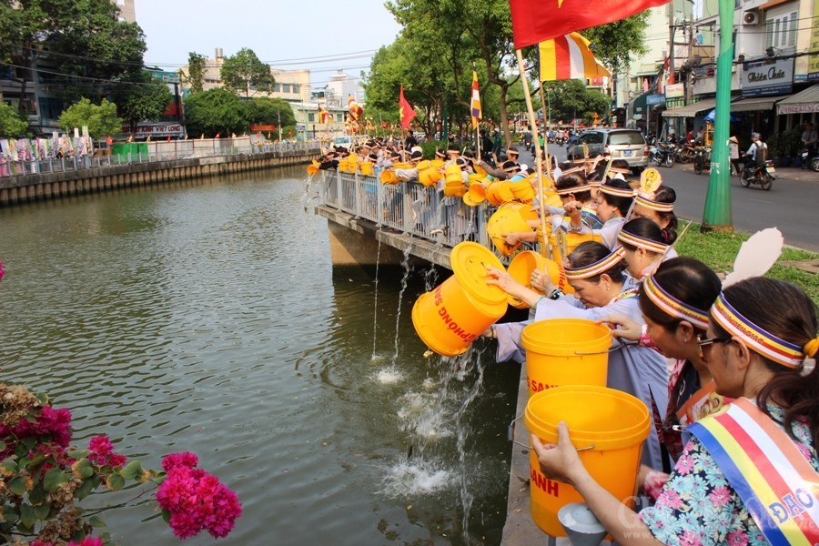 Chùa Viên Giác thả cá phóng sanh mừng Phật đản ảnh 5 15ps.jpg