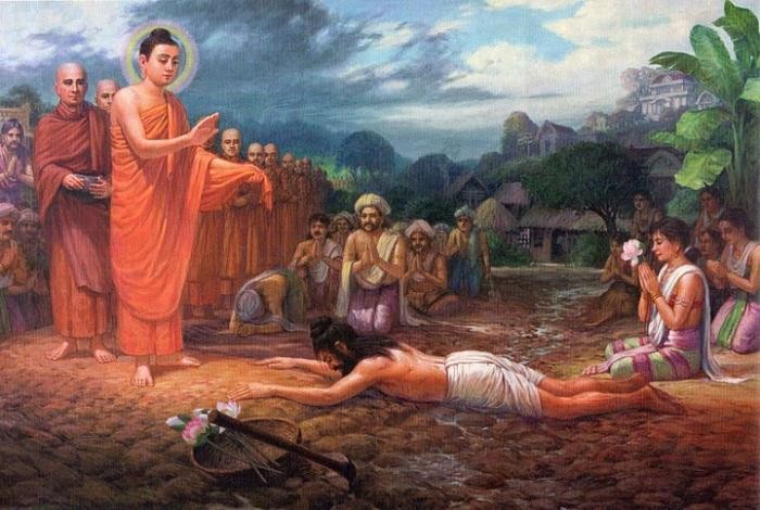 a chuyennghiep.jpg