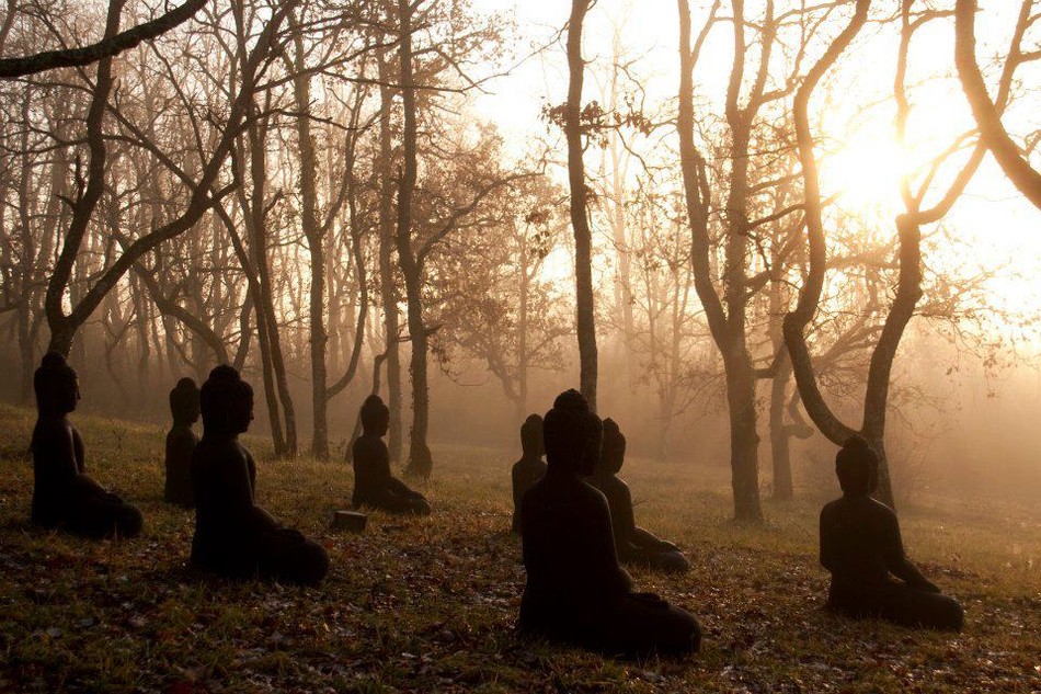 Lịch thuyết giảng Phật pháp ngày 24-7 ở TP.HCM ảnh 1 Phat ngoi.jpg