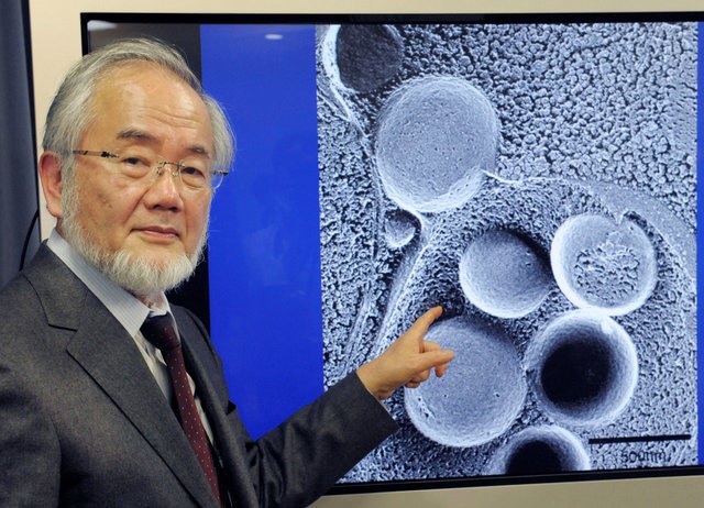 Ohsumi.jpg