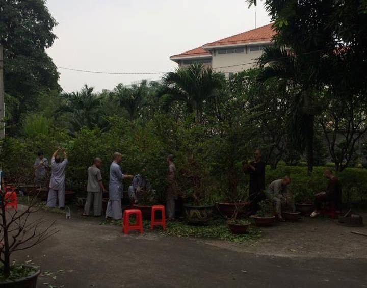 Chừng hai tuần nữa vườn chùa ngời sắc xuân ảnh 1 anh vuonthien.jpg