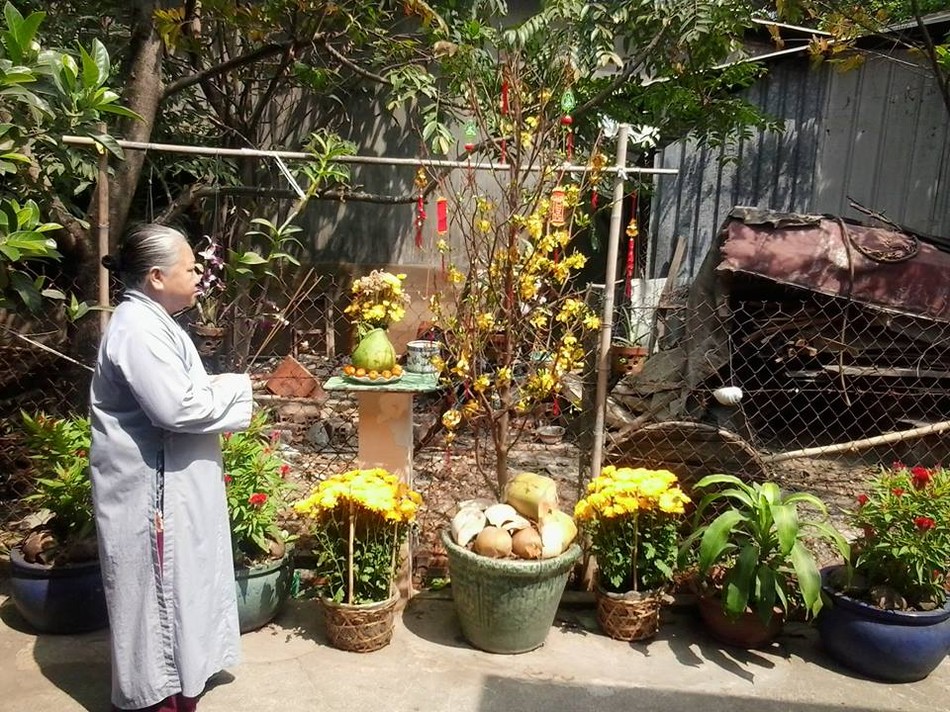 a minhhoa tn.jpg