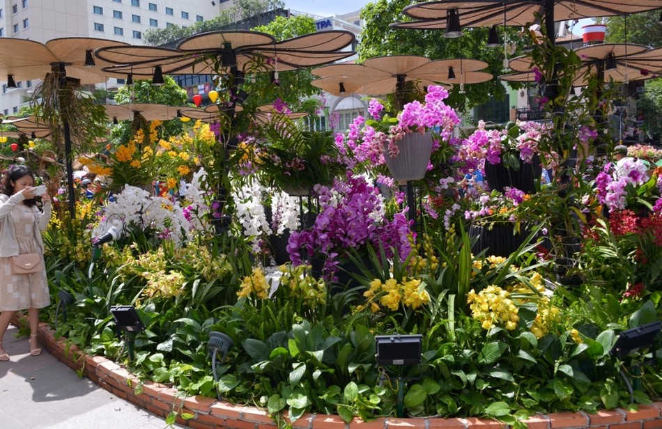 Duong Hoa Nguyen Hue - Xuan Dinh Dau (16).JPG