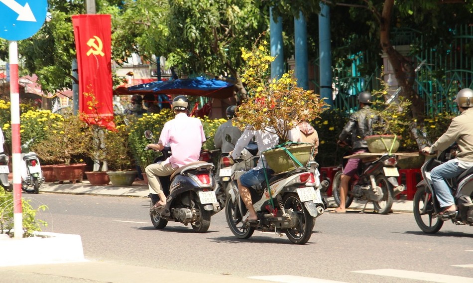 hoa ban tet tren duong Le Thanh Ton.JPG