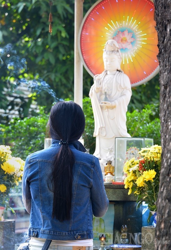 Vien Tim TPHCM (1).jpg