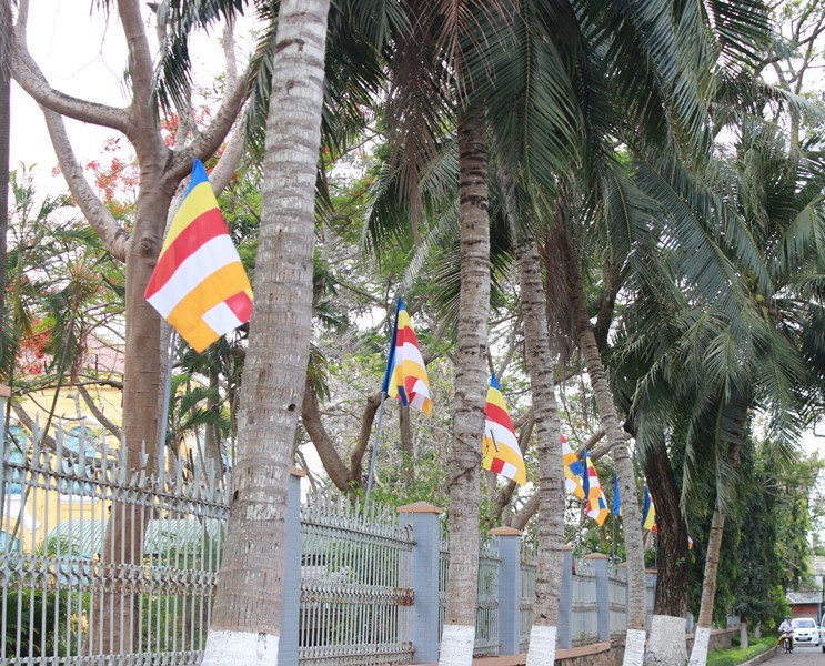 Đại hội Phật giáo Bến Tre có 515 đại biểu tham dự ảnh 4 9.jpg