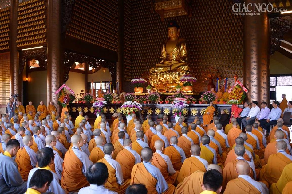 Bo nhiem tru tri- Tam phat (3).jpg