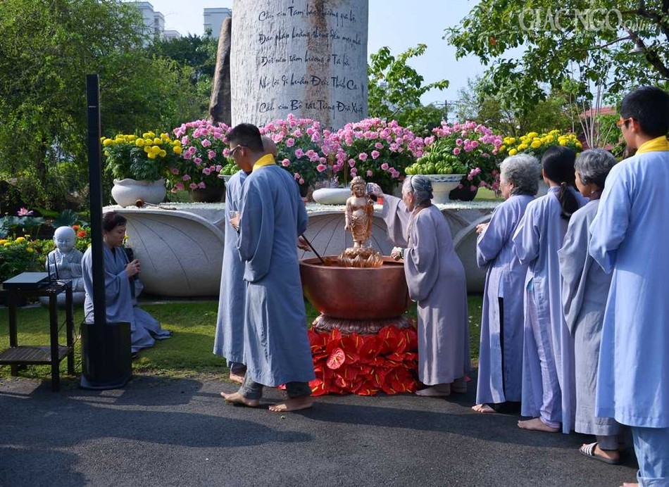 Bo nhiem tru tri- Tam phat (35).jpg