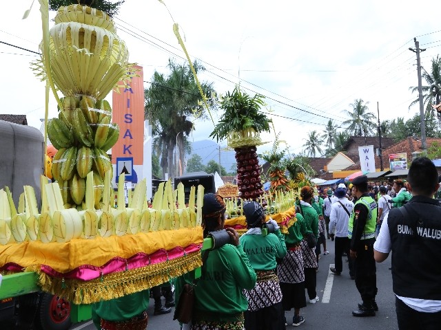 Chùm ảnh: Trang nghiêm rước Phật tại Indonesia ảnh 9 Chùm ảnh: Trang nghiêm rước Phật tại Indonesia ảnh 9