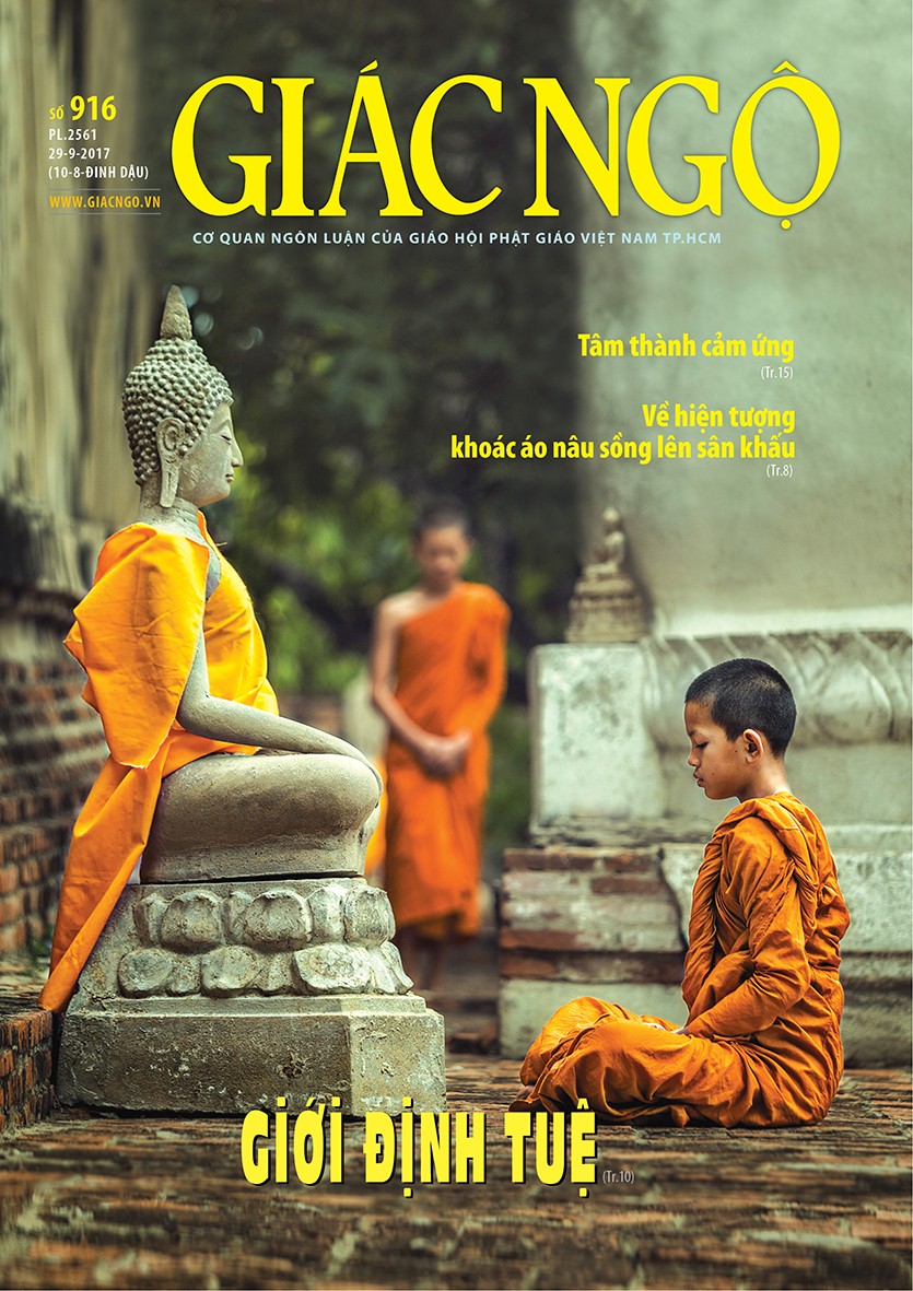 Hiện tượng khoác áo nâu sồng lên sân khấu ảnh 1 b1.jpg