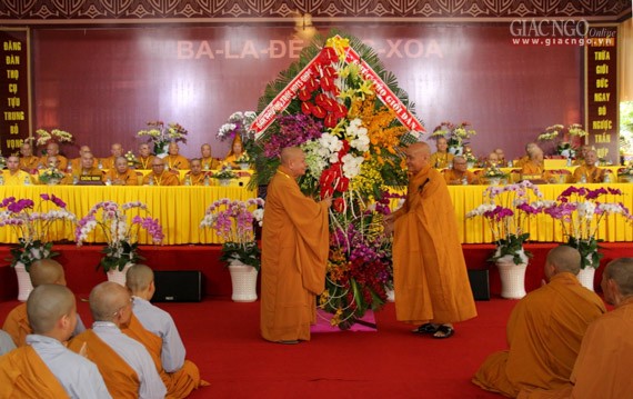 Daigioidanphaploa (12).jpg