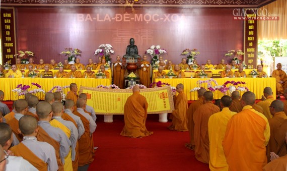 Daigioidanphaploa (17).jpg