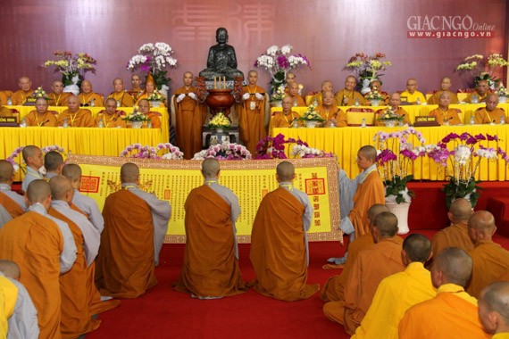 Daigioidanphaploa (18).jpg