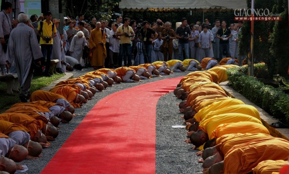 Daigioidanphaploa (2).jpg