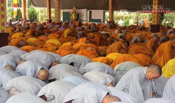 Daigioidanphaploa (20).jpg