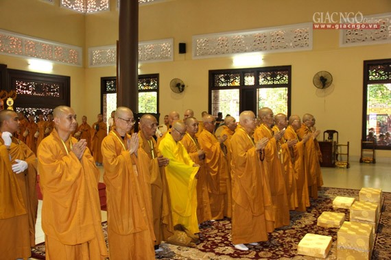 Daigioidanphaploa (22).jpg