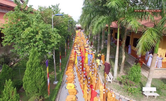 Daigioidanphaploa (36).jpg