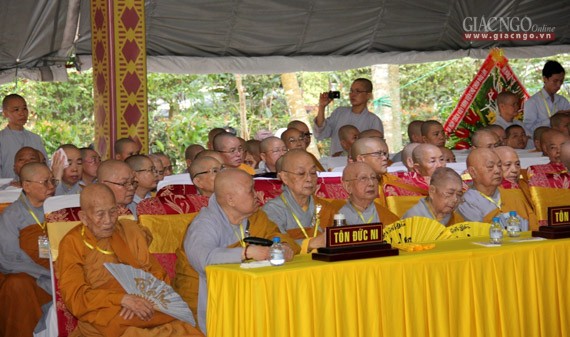 Daigioidanphaploa (9).jpg