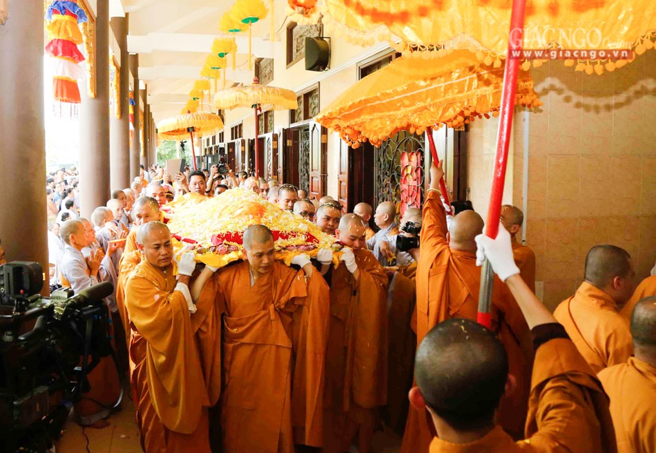 Tacannhapkimquan (4).jpg