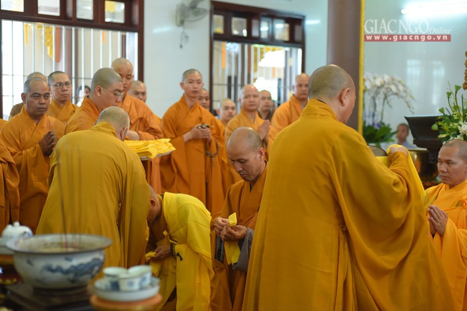 Tacannhapkimquan (7).jpg