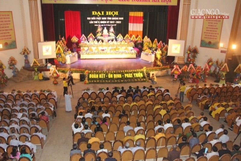 QN 9 .jpg