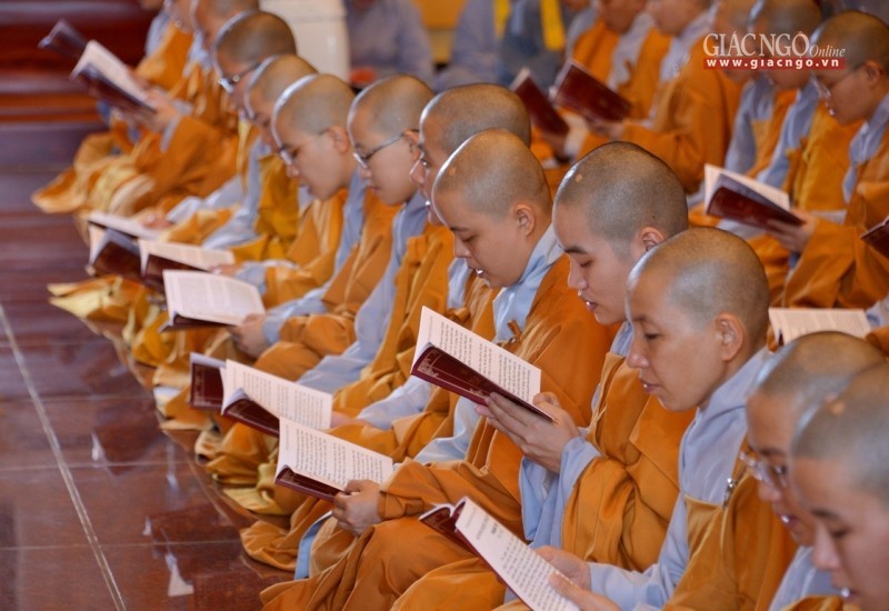 Tung kinh chieu (10).jpg