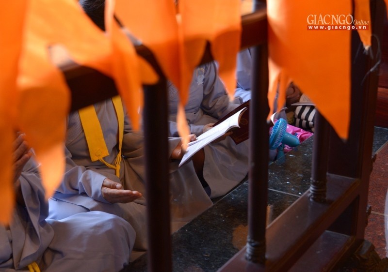 Tung kinh chieu (8).jpg