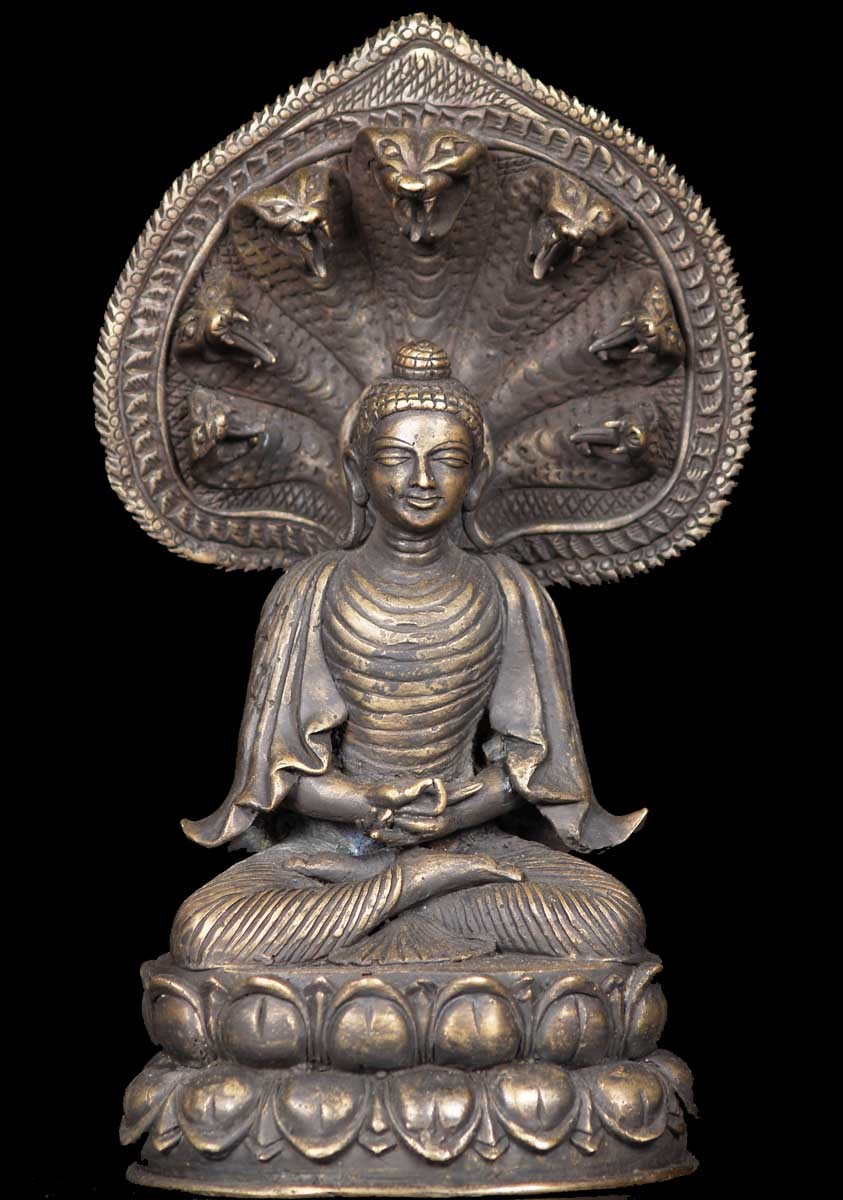 Hình tượng Phật - Rắn Mucilinda | Giác Ngộ Online