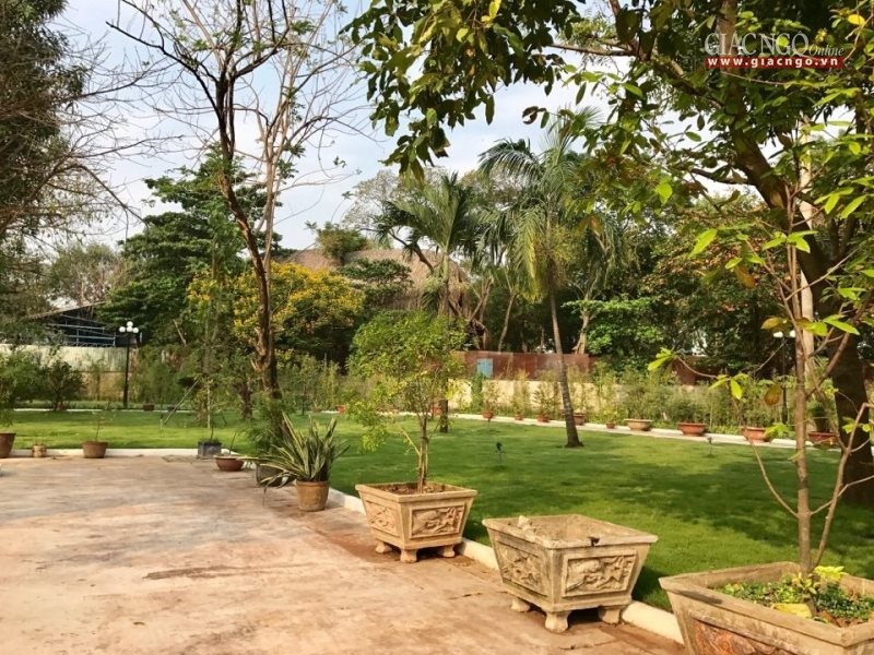 Khu vực đã hoàn thành việc trùng tu, tôn tạo H_nh 3.jpg