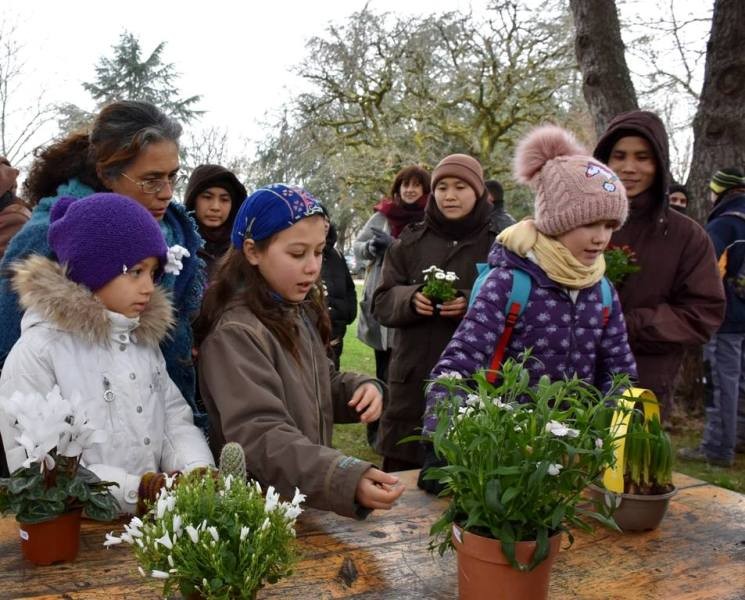 Chùm ảnh: Chùa Việt nhiều nơi đón Tết ảnh 9 H_nh 9.jpg