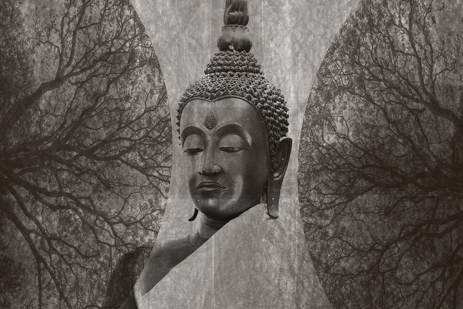 buddha-3218030_960_720.jpg