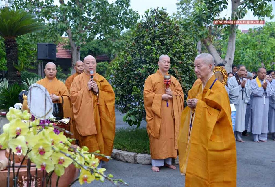 MocducHN2 (3 of 11).jpg