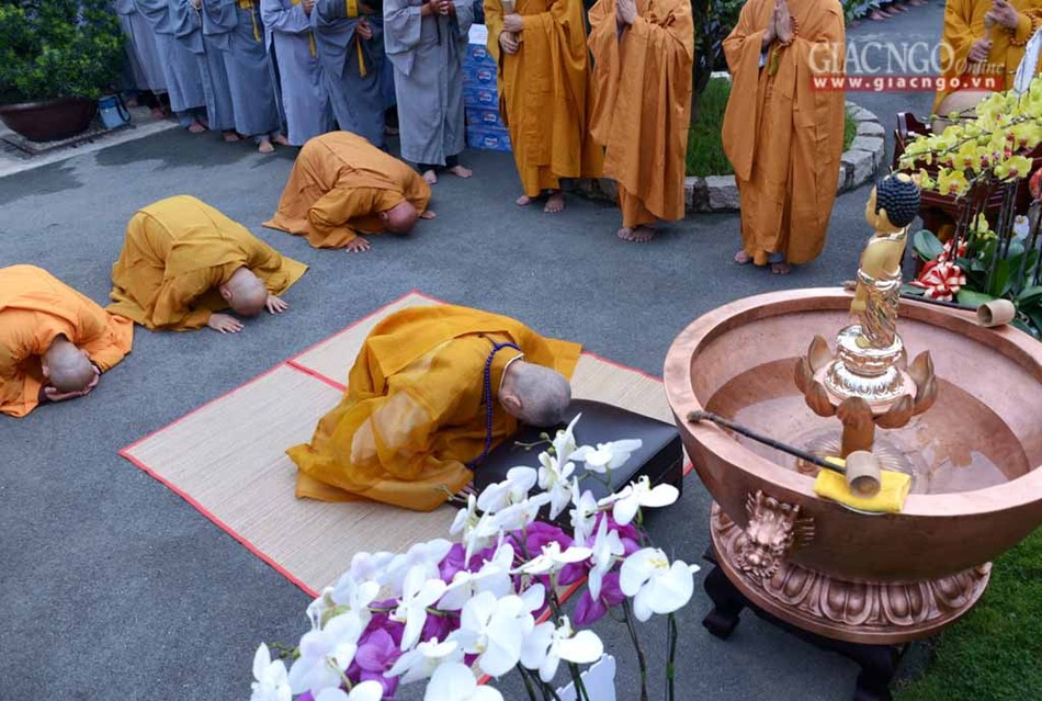 MocducHN2 (5 of 11).jpg