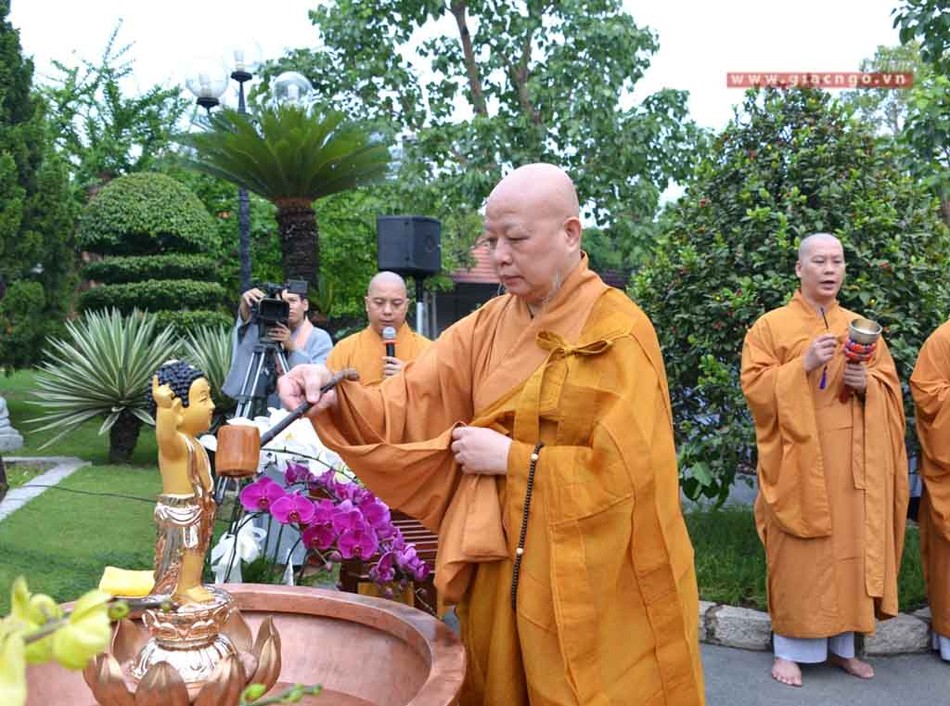 MocducHN2 (8 of 11).jpg