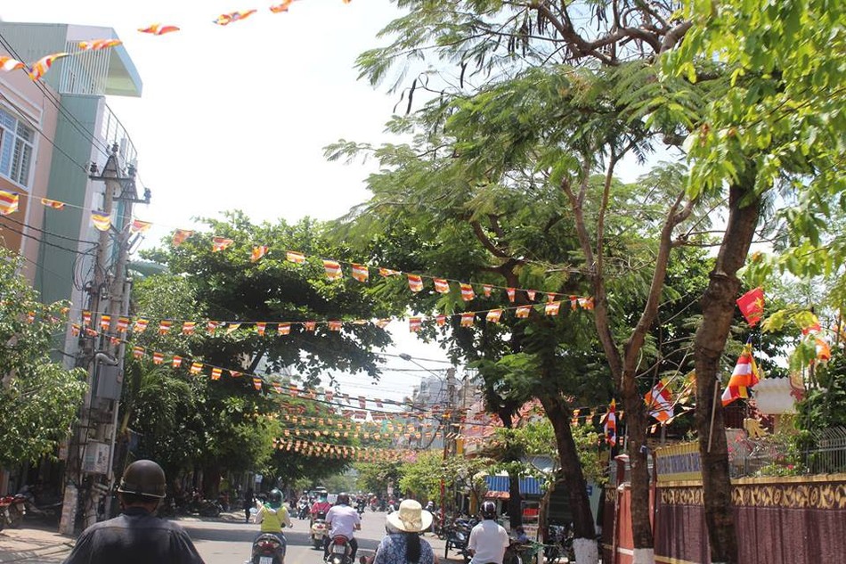 Các chùa đất võ Bình Định đón mừng Phật đản ảnh 17 33104613_1253237094779824_3028651366219251712_n_jpg__nc_cat_0_amp;oh_b740c25d938cf661f7c0ff50f016e194_amp;oe_5b7bbed9.jpg