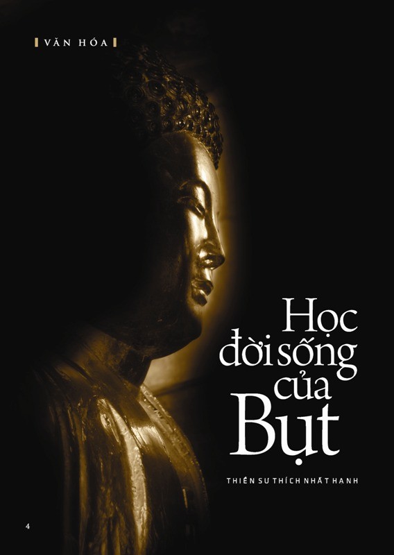 lieuquan05.jpg