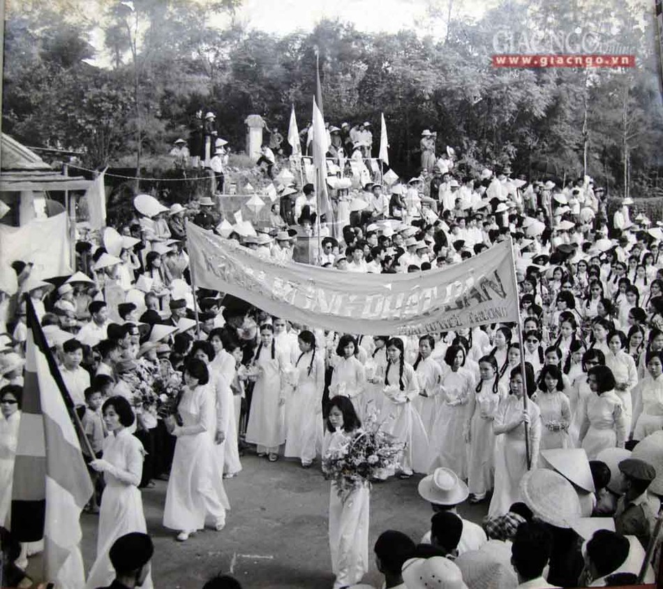 dautranh1963 (12 of 14).jpg