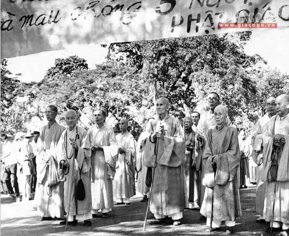 dautranh1963 (13 of 14).jpg