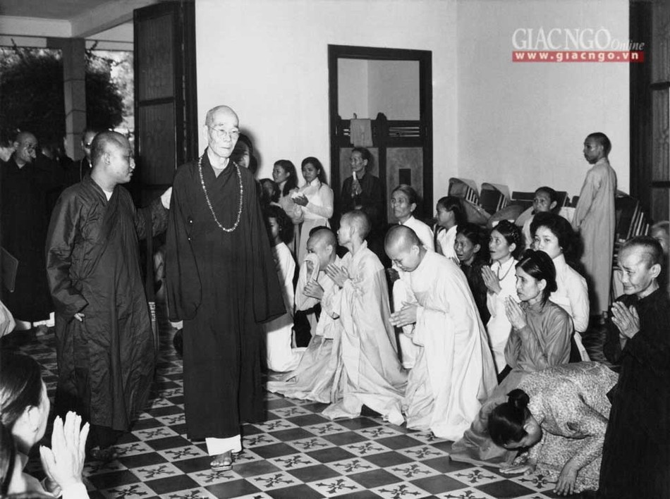 dautranh1963 (14 of 14).jpg