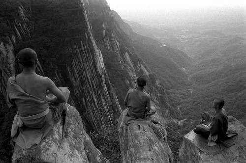 Nguy hiểm hơn vách núi sâu ảnh 1 amhoa.jpg