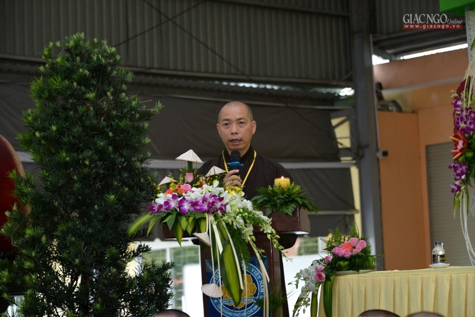 BTN_006.jpg