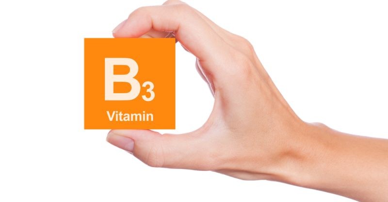 b3.jpg