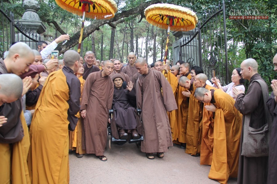 Thiền sư Thích Nhất Hạnh về chùa Từ Hiếu tịnh dưỡng ảnh 3 2.jpg