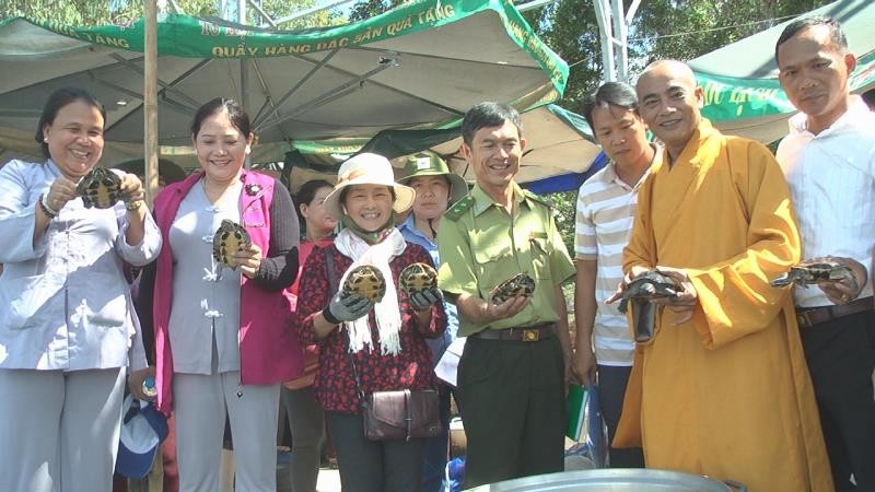 Cac con Rua da duoc kiem tra truoc  khi phong sanh.JPG