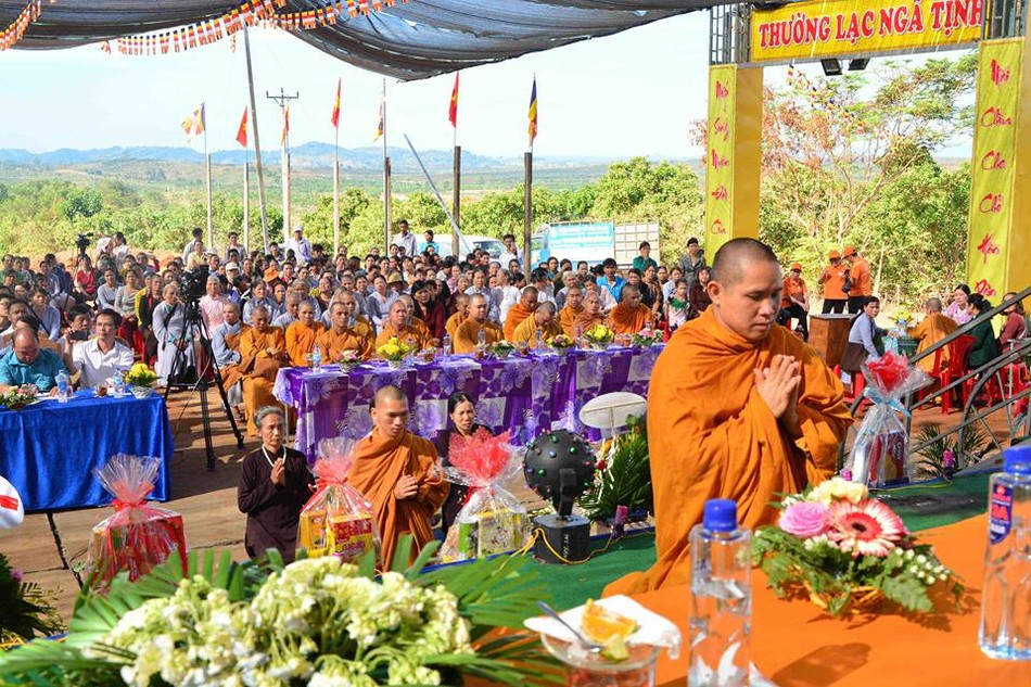 mnguyen 4.jpg