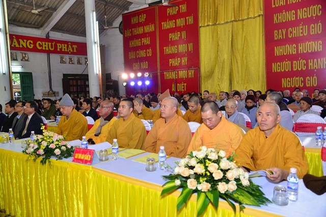 DSC_6522-Copy.jpg
